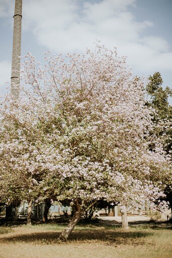 بانوراما اكتوبر - Panorama October - الصورة 20