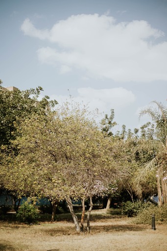 بانوراما اكتوبر - Panorama October - الصورة 21