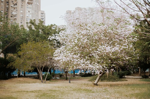 بانوراما اكتوبر - Panorama October - الصورة 22