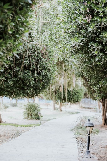 بانوراما اكتوبر - Panorama October - الصورة 41