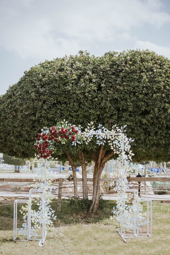 بانوراما اكتوبر - Panorama October - الصورة 42