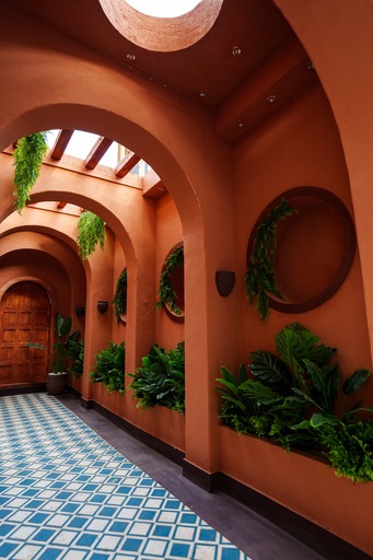 سيشن فيو القصر - Session View El Qasr - الصورة 24