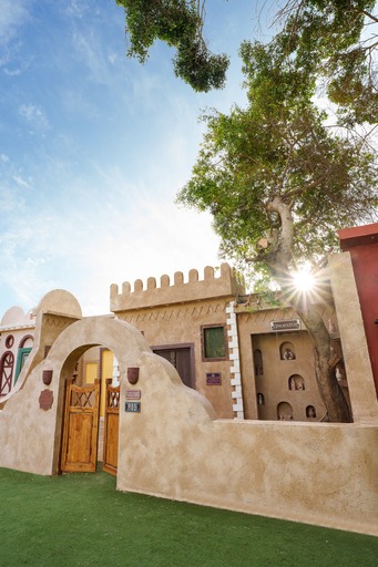 سيشن فيو القصر - Session View El Qasr - الصورة 49
