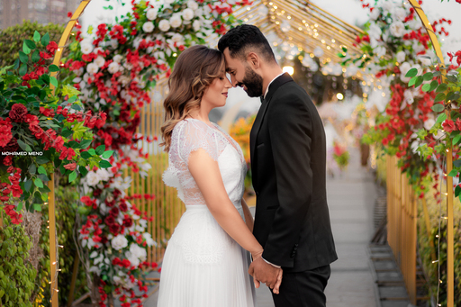 جزيرة المعادي - Maadi Island - الصورة 20