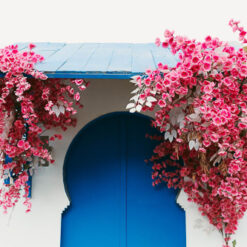 فلامنجو وايت - Flamingo white - الصورة 23