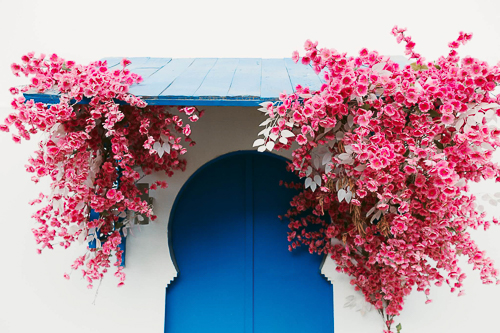 فلامنجو وايت - Flamingo white - الصورة 23