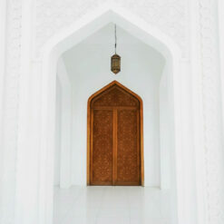فلامنجو وايت - Flamingo white - الصورة 24