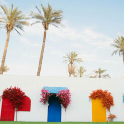 فلامنجو وايت - Flamingo white - الصورة 25