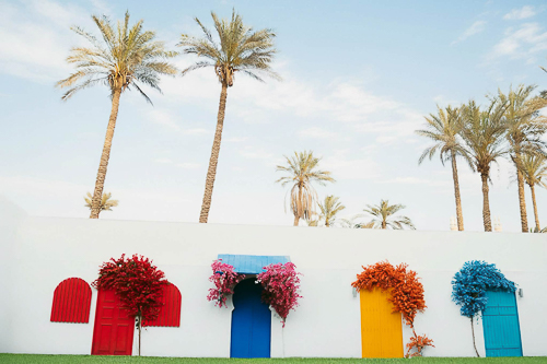 فلامنجو وايت - Flamingo white - الصورة 25