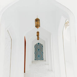 فلامنجو وايت - Flamingo white - الصورة 28
