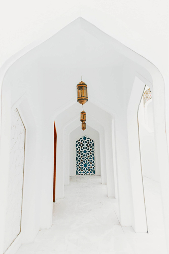 فلامنجو وايت - Flamingo white - الصورة 28