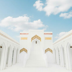 فلامنجو وايت - Flamingo white - الصورة 14