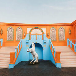 فلامنجو وايت - Flamingo white - الصورة 15
