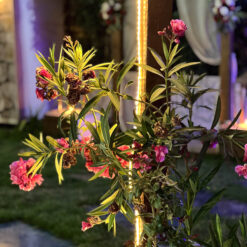 ايفوري سيشن - Evory session - الصورة 33